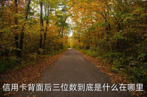 信用卡背面后三位數(shù)到底是什么在哪里
