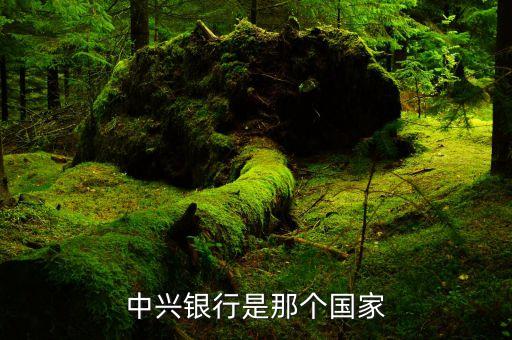 太原中興銀行負(fù)責(zé)什么意思，中興實(shí)業(yè)銀行的性質(zhì)是什么