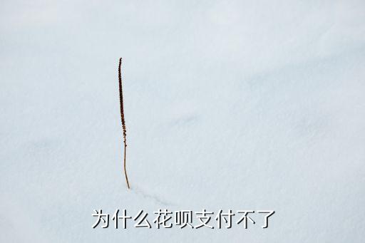 為什么不能刷花唄付款，為什么花唄支付不了
