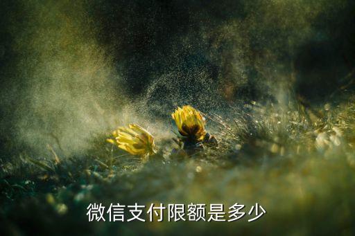 微信支付限額是多少