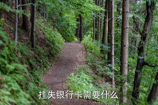 掛失銀行卡需要什么