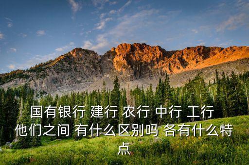 國有銀行 建行 農(nóng)行 中行 工行 他們之間 有什么區(qū)別嗎 各有什么特點(diǎn)