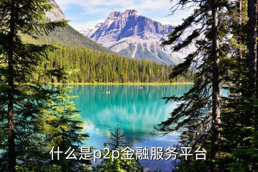什么是p2p金融服務(wù)平臺(tái)