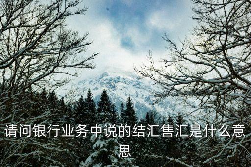 請問銀行業(yè)務中說的結匯售匯是什么意思