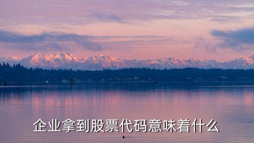 企業(yè)拿到股票代碼意味著什么