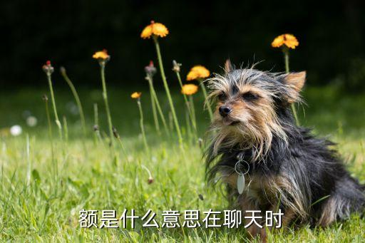 額是什么意思在聊天時