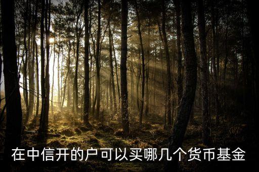 中信證券有什么好基金，中信證券理財產(chǎn)品有哪些可以投不