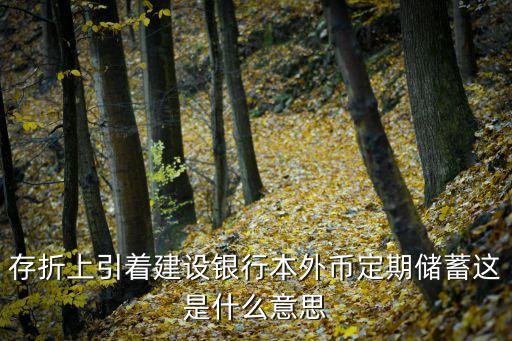 本外幣存款余額是什么意思，存折上引著建設(shè)銀行本外幣定期儲(chǔ)蓄這是什么意思