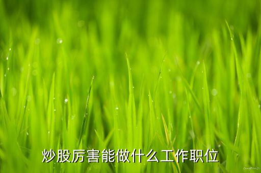 炒股厲害能做什么工作職位