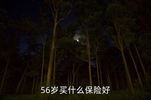56歲的老人買什么保險(xiǎn)，56歲的老人還可以買什么保險(xiǎn)