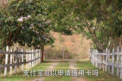 支付寶可以申請信用卡嗎