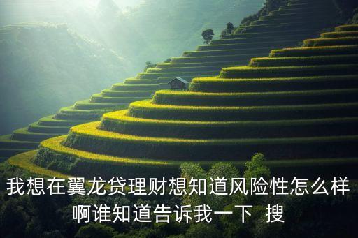 我想在翼龍貸理財(cái)想知道風(fēng)險(xiǎn)性怎么樣啊誰知道告訴我一下  搜