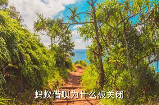 為什么螞蟻借唄停用了，為什么我的借唄關(guān)閉了