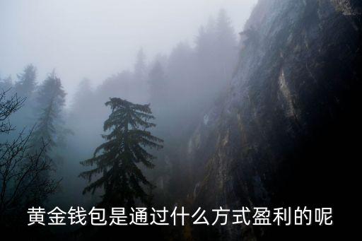 黃金錢包是通過什么方式盈利的呢