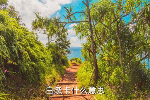 白條卡什么意思