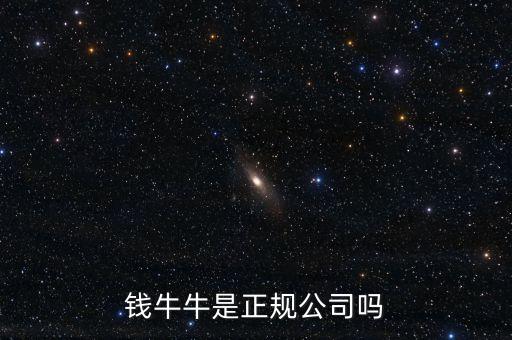 錢牛牛是什么樣的機構(gòu)，錢牛牛是正規(guī)公司嗎