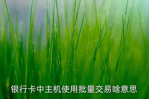 銀行卡中主機(jī)使用批量交易啥意思
