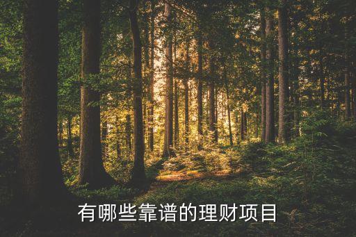 有哪些靠譜的理財(cái)項(xiàng)目