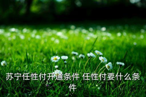 蘇寧任性付開(kāi)通條件 任性付要什么條件