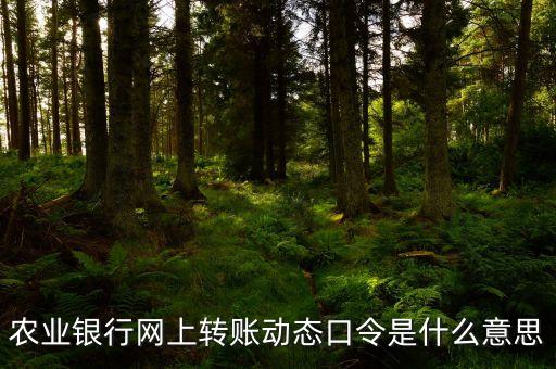 農(nóng)業(yè)銀行網(wǎng)上轉(zhuǎn)賬動態(tài)口令是什么意思