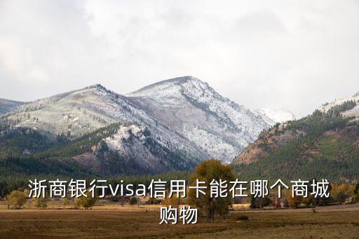 visa信用卡能買什么，浙商銀行visa信用卡能在哪個商城購物