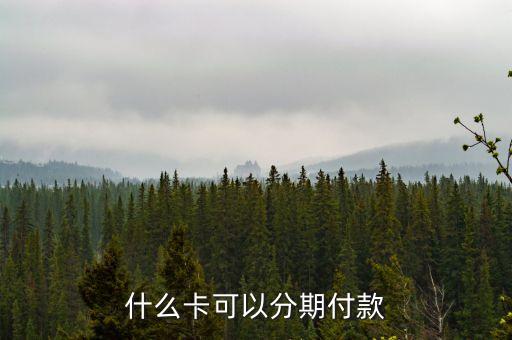 什么銀行卡可以分期，信用卡分期付款哪個銀行好