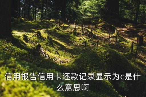 信用報(bào)告信用卡還款記錄顯示為c是什么意思啊