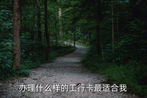 工行借記卡什么樣的，工商銀行 借記卡 種類