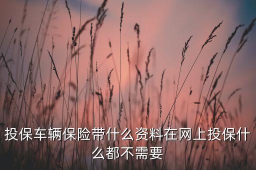 辦理車保險需要什么資料，交強險要什么資料