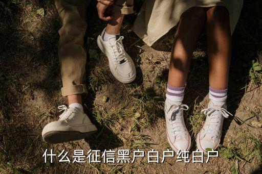 什么是征信黑戶白戶純白戶