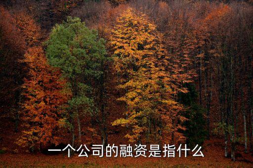 一個公司的融資是指什么