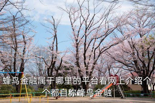 蜂鳥金融屬于哪里的平臺看網(wǎng)上介紹個個都自稱蜂鳥金融