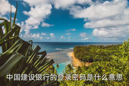 中國建設(shè)銀行的登錄密碼是什么意思