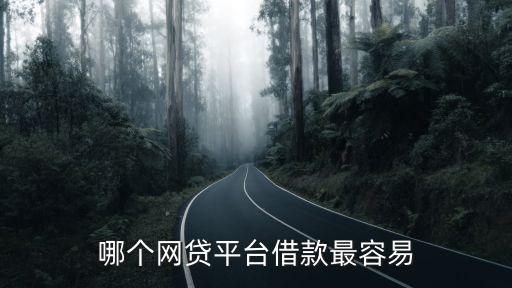 什么網(wǎng)貸平臺(tái)好借，網(wǎng)貸哪個(gè)網(wǎng)站比較好
