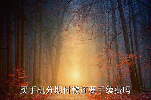 買手機(jī)分期付款還要手續(xù)費(fèi)嗎