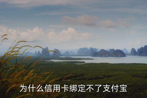 為什么信用卡綁定不了支付寶支付密碼錯誤，為什么我的信用卡綁定不了支付寶支付
