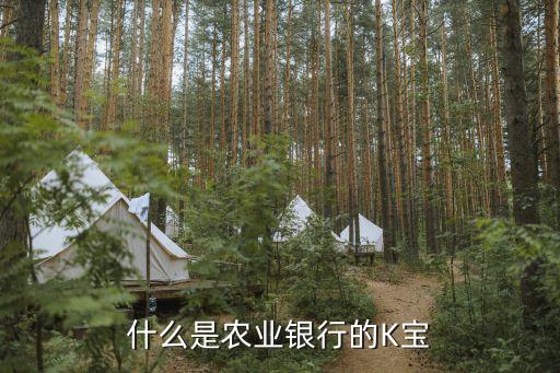 農(nóng)業(yè)銀行卡k寶是什么意思，中國(guó)農(nóng)業(yè)銀行k寶是什么