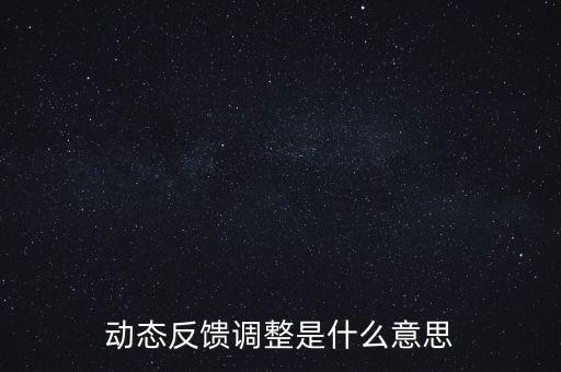 動(dòng)態(tài)反饋調(diào)整是什么意思