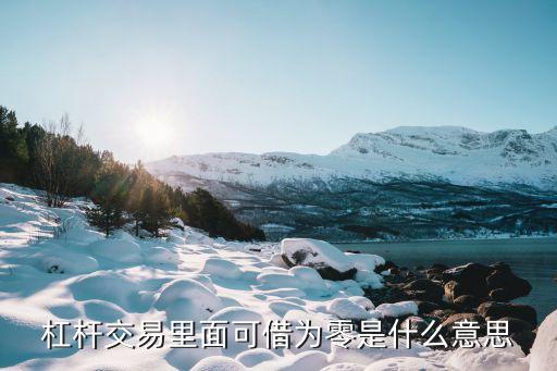 杠桿交易里面可借為零是什么意思