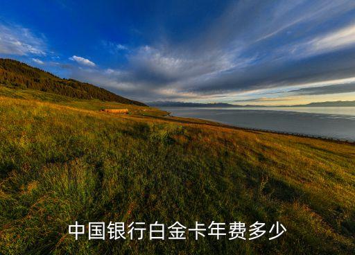 中國(guó)銀行什么卡用年費(fèi)，中國(guó)銀行白金卡年費(fèi)多少