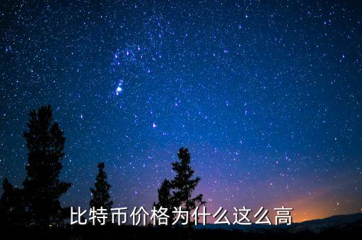 比特幣價(jià)格為什么這么高
