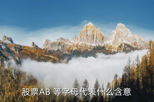 股市B代表什么意思，股票代碼后面的B字是什么意思