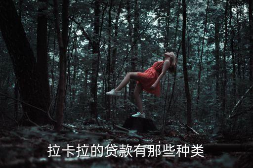 拉卡拉的貸款有那些種類