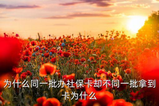 為什么同一批辦社保卡卻不同一批拿到卡為什么