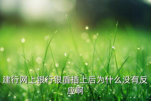 建行網(wǎng)上銀行銀盾插上后為什么沒有反應(yīng)啊