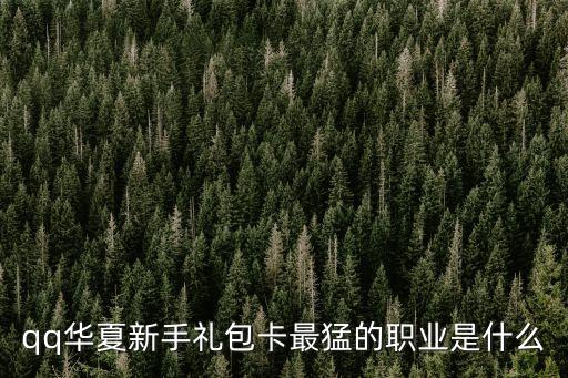 華夏 首卡 什么好，qq華夏新手禮包卡最猛的職業(yè)是什么