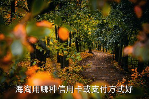 海淘用哪種信用卡或支付方式好