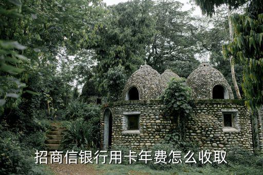 招商信銀行用卡年費(fèi)怎么收取