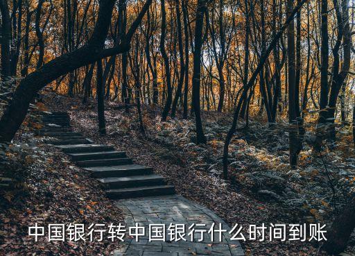 蘋果8什么時(shí)候到中國(guó)銀行，蘋果8什么時(shí)問(wèn)在中國(guó)買