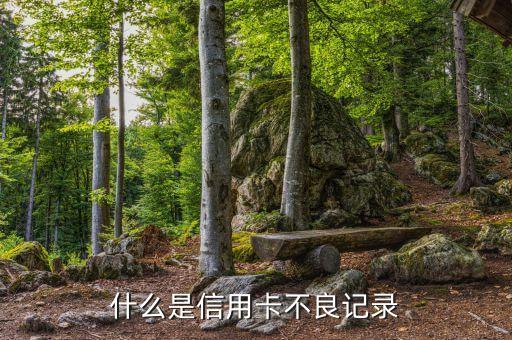 信用卡什么是不良記錄嗎，信用卡的不良記錄是指